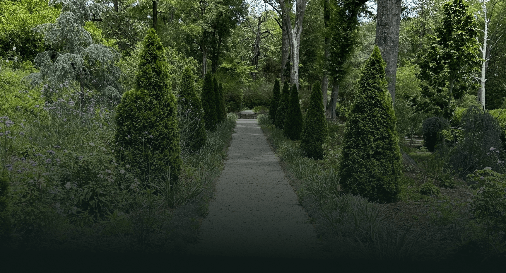 The Terraces at Plane Hill