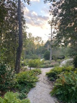 walkway in fall